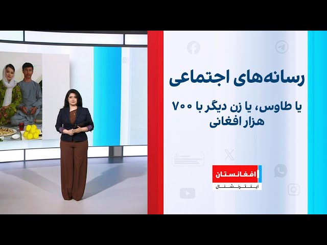 یا طاوس، یا زن دیگر با ۷۰۰ هزار افغانی؛ واکنش‌ها