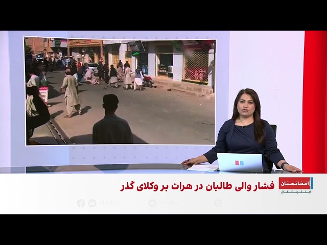 خبر فوری: فشار والی طالبان در هرات  بر وکلای گذر برای جلوگیری از اعتراضات