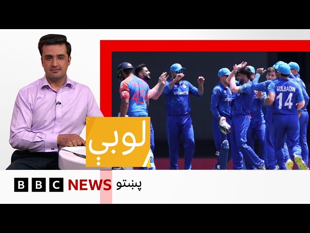 لوبې: د افغانستان او هند کرېکټ سيالۍ، کومې لوبې کوي او څنګه لوبډلې يې ټاکلې؟