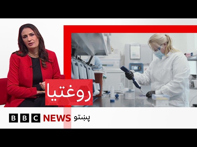 روغتيا: د سرطان ناروغۍ پر وړاندې مبارزې کې څومره پرمختګ شوی؟