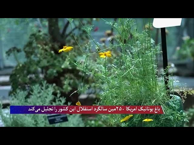 باغ بوتانیک ایالات متحده دوصدوپنجاهمین سالگرد استقلال امریکا را با گلی برای هر ایالت تجلیل می‌کند