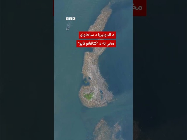د اندونیزیا ساحلونو ته څېرمه د 