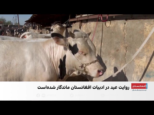 عید قربان در آیینه سنت و ادبیات افغانستان