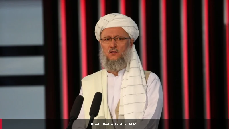 طالبانو د کډوالو د مرستې لپاره افغانانو ته بلنه ورکړه