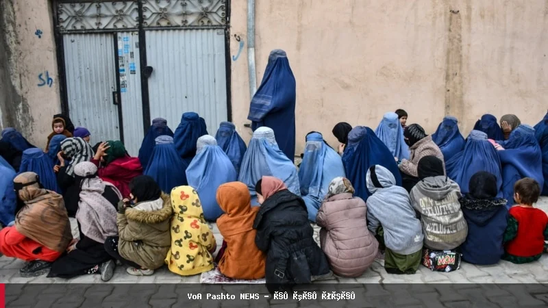 د جنسیتي اپارتاید نړیوال جرم په توګه پیژندلو هڅې پرمختګ کوي