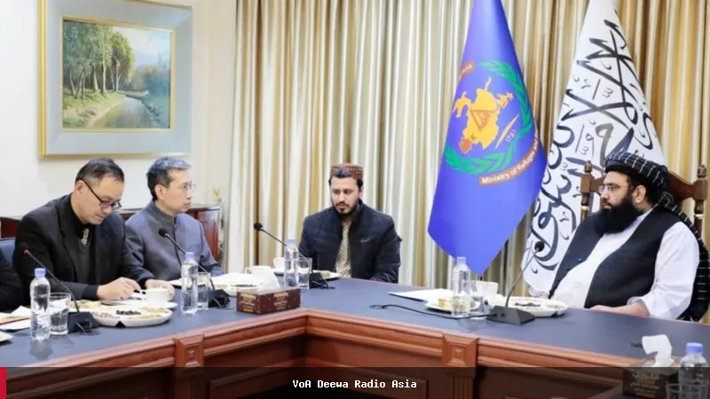 د طالبانو حکومت: په جبري ډول د افغان کډوالو ستنول افغانستان کې د مرستو پر بهیر اغېز کوي