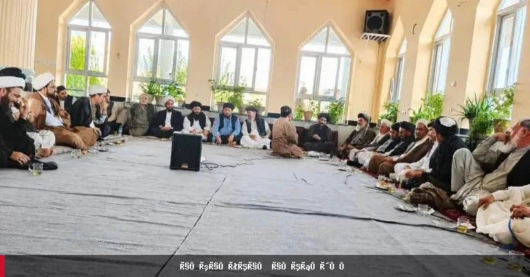 هزاره او شیعه مشران د طالبانو د عدلیې وزیر پر تبعیض نیوکه کوي