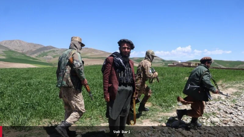 د بدخشان په جګړو کې د امنیتي سازمان اندیښنې