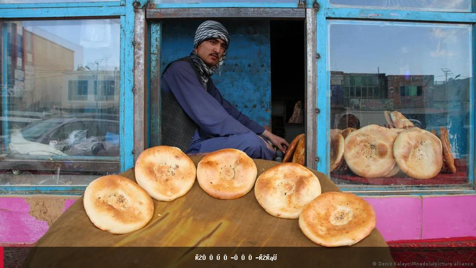 د نړیوالې خوړو پروګرام راپور: په افغانستان کې د خوراکي توکو بیې لوړې شوې دي