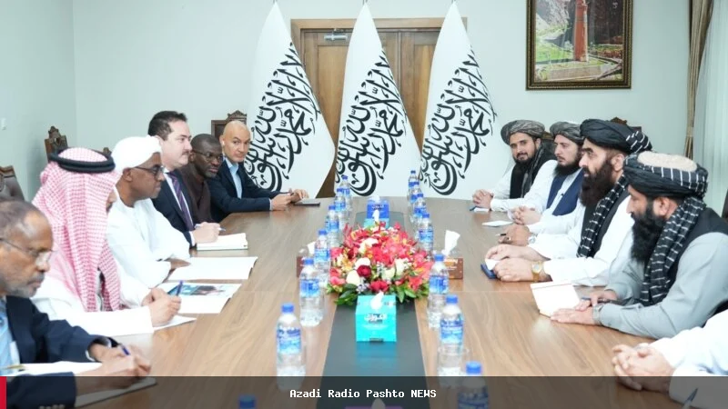 طارق علي بخیت په کابل کې د امیرخان متقي سره د اسلامي همکاریو سازمان په اړه خبرې وکړې