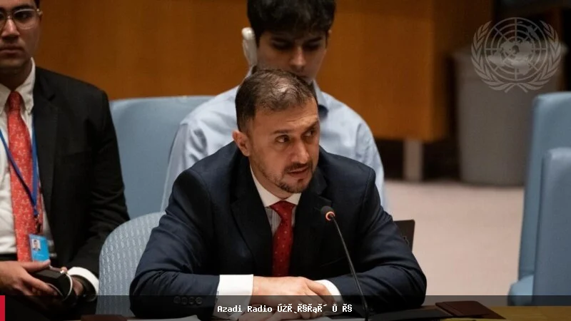 افغانستان کې د ښځو د حضور اړتیا په نړیواله غونډه کې مطرح شوه