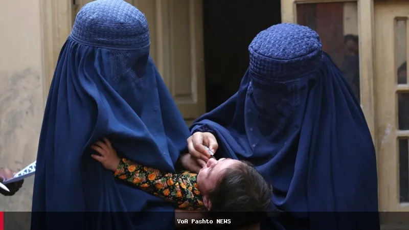 افغانستان کې د پولیو له منځه وړلو او واکسین پروګرامونو پراخولو غوښتنه