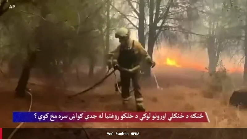 د ځنګلي اورونو لوګي او د خلکو روغتیا ته خطرات