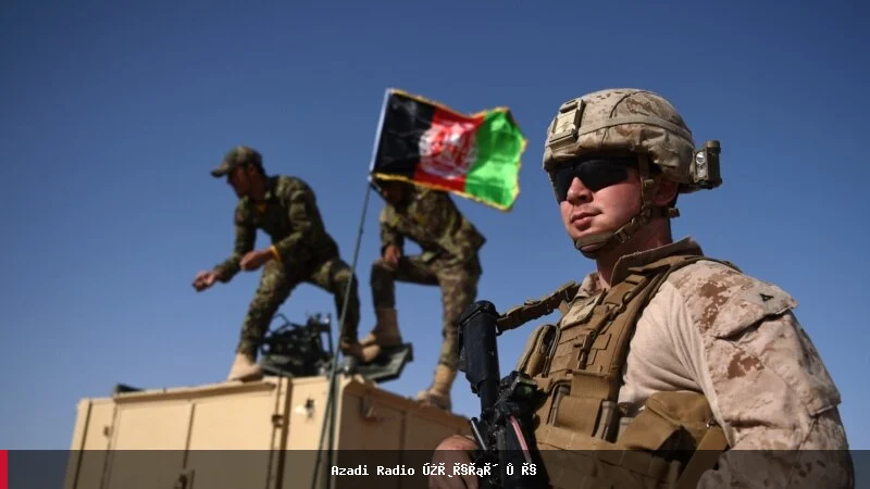 امریکا: افغانستان باید د تروریستانو لپاره پناهگاه نشي