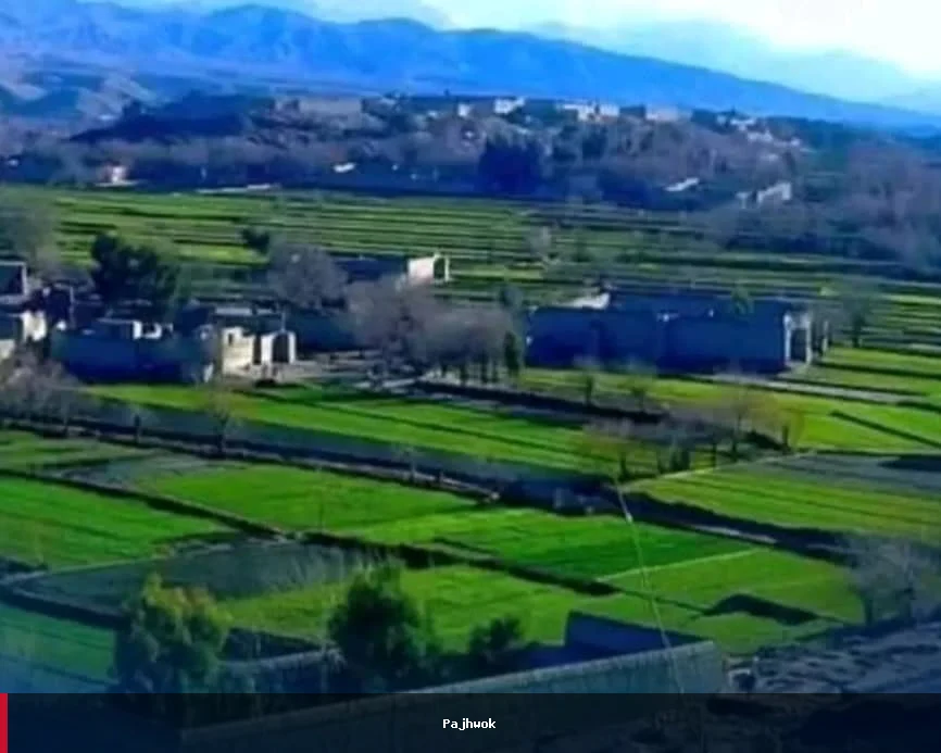د ننګرهار په چپرهار ولسوالۍ کې د ځمکې د ملکیت پر سر شخړه څلور کسان ژوند له لاسه ورکړ