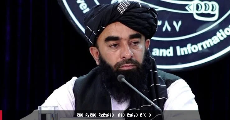 طالبانو په ۱۴۴۷ هجري کال کې دوه میلیونه برېښنايي او یو میلیون کاغذي پېژندپاڼې وېشلې دي