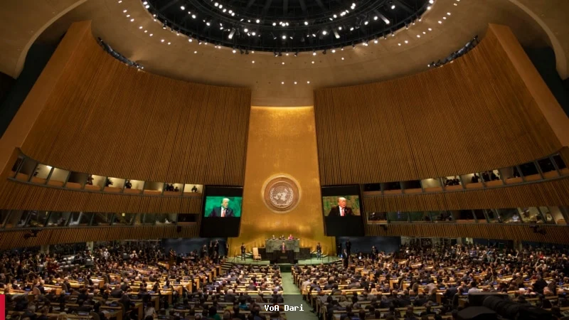 افغانستان شپږم ځل لپاره په ملګرو ملتونو کې د وینا کولو نه پاتې شو