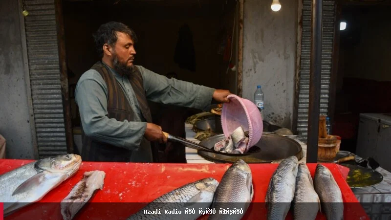 د تورخم بندیدل د ننگرهار په ماهي بازار کې بیې لوړې کړې