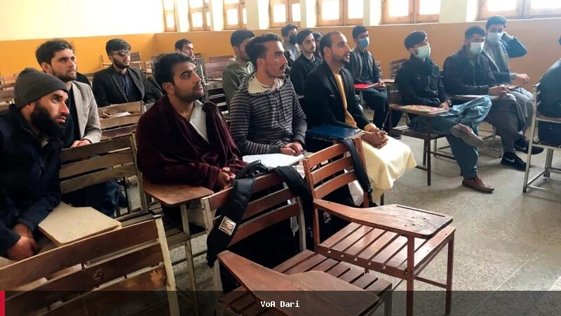 د افغانستان په پوهنتونونو کې د نارینه وو ګډون ۳۰ سلنه کم شوی دی