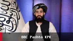 طالبان: د امریکا سفارت ادعاوې د نشه‌يي توکو په اړه بې‌بنسټه دي