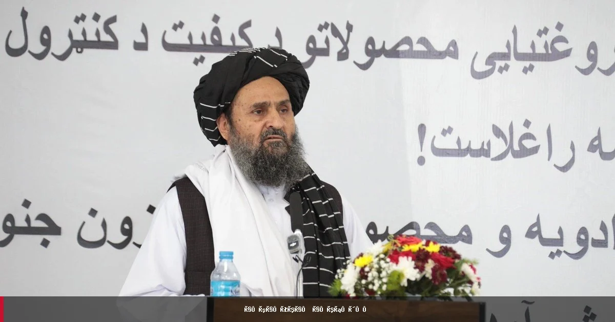 د طالبانو اقتصادي مرستیال: سوداګرو ته د بې‌کیفیته توکو د واردولو په اړه خبرداری