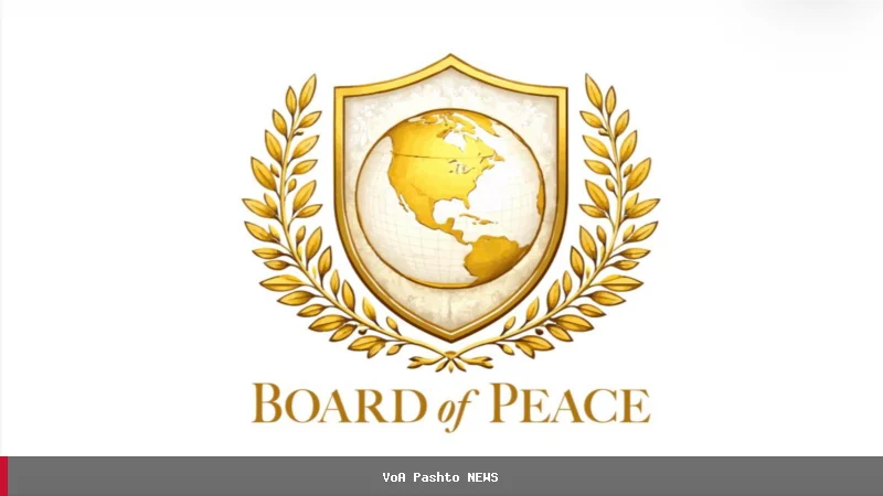 د امریکا د ولسمشر د اوربند پلان چارواکي د اسرائیل بریدونه غندلي