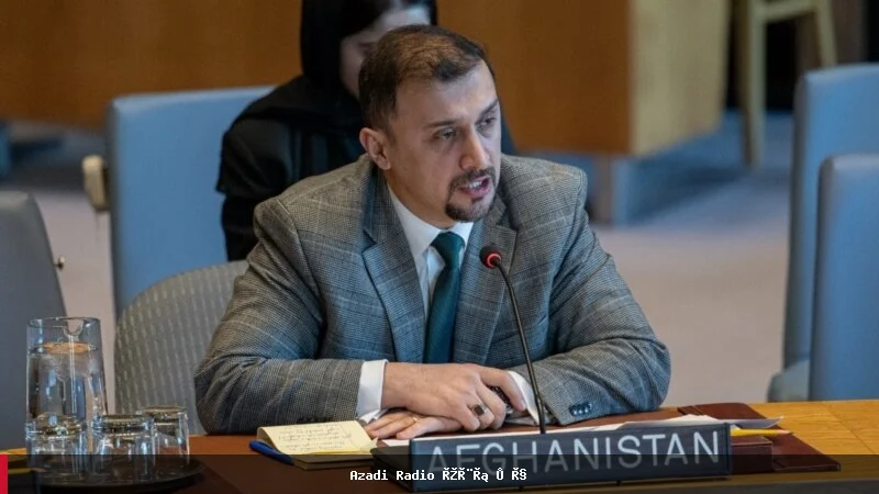 فایق: افغانان باید د پاکستان او طالبانو ترمنځ د شخړې قرباني نشي