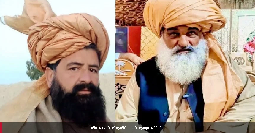 په سویلي وزیرستان کې د وسله والو برید دوه قبایلي مشران وژلي