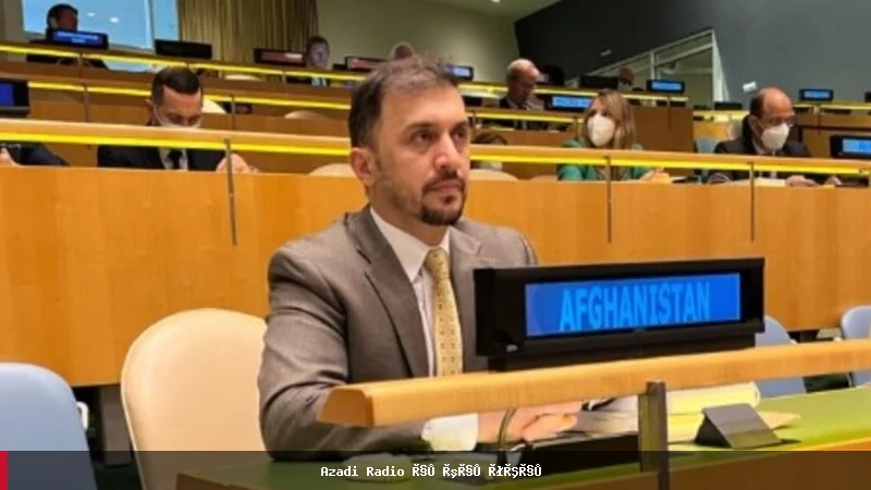 نصیر احمد فایق: افغان ښځې او نجونې له نهادینه شوي تبعیض سره مخ دي