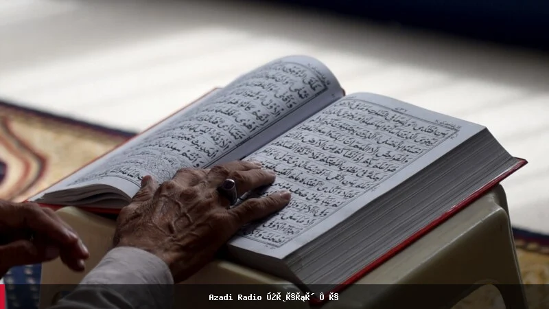 د افغانستان د سوګنې مراسم او دودونه؛ مختلف نظریات