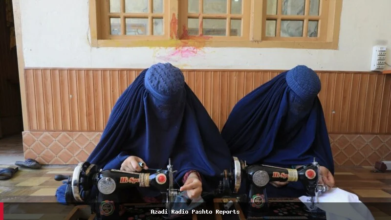 په پاکستان کې د افغان مېرمنو د ژوند سختۍ؛ د مالي ملاتړ نشتون