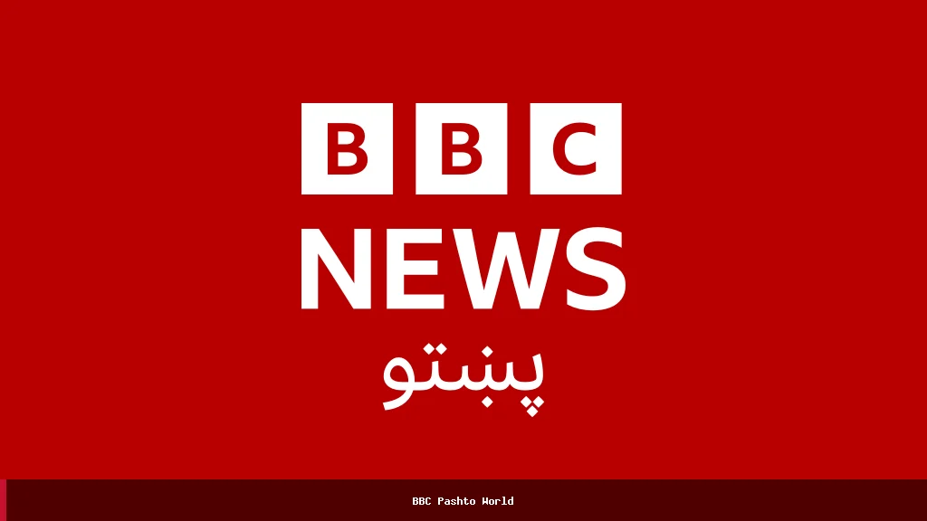 روسیه وايي، د اوکراین په 'ستر' ډرون برید کې د مسکو په سیمه کې دوه کسان وژل شوي دي