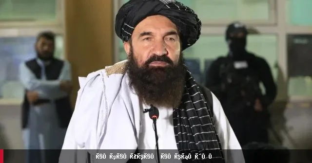 خیرالله خیرخواه د طالبانو د راتلونکي په اړه د شاه ولي کرزي سره خبرې وکړې