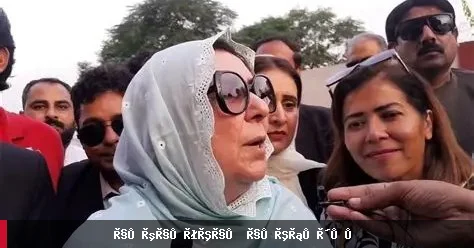 د پېښور سترې محکمې نورین نیازۍ ته د نیول کېدو دمخه ضمانت ورکړ
