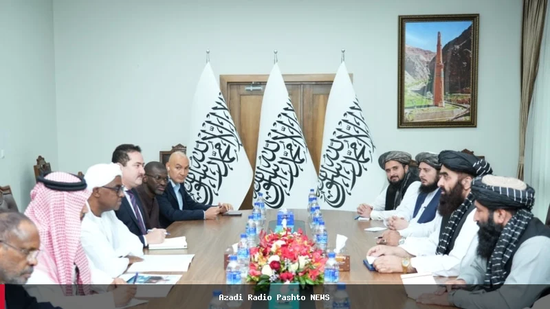 د اسلامي همکارۍ سازمان استازي په کابل کې د بشري مرستو او پرمختیا په اړه خبرې وکړې