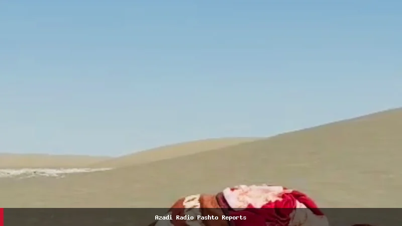 افغان کډوال د ایران او پاکستان څخه راستنېدل؛ د سختو حالاتو کیسې