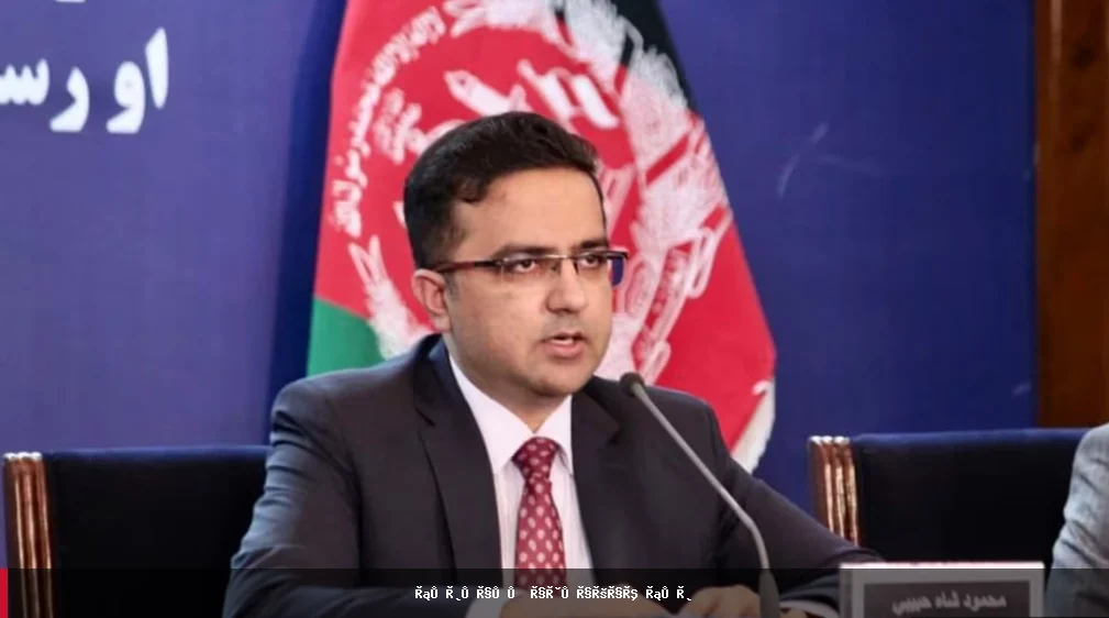 اف‌بی‌آی: د محمودشاه حبیبی د کورنۍ لپاره د راستنېدو ژمنه