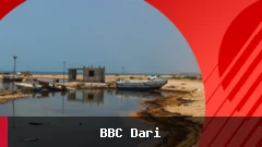 د قشم په جنوبي برخه کې د نفتو ککړتیا کمیدل، سرچینه لا هم نه ده معلومه