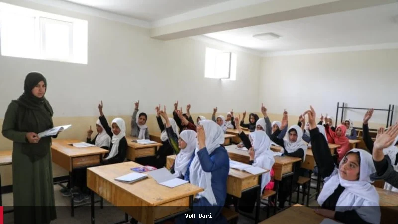 د نړیوال ښوونکي ورځې نمانځنه په افغانستان کې د تعلیمي محدودیتونو تر سیوري لاندې