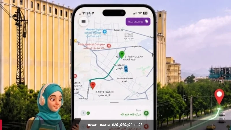 د ښځو لپاره د خدماتو آنلاین اپلیکیشن په افغانستان کې پیل شو