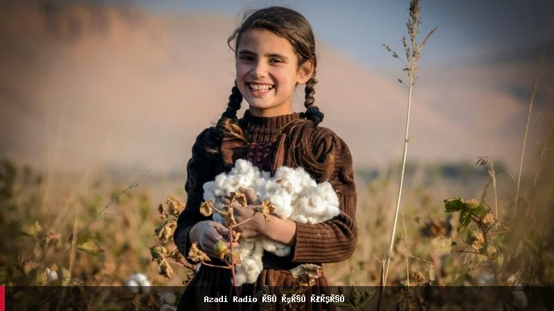 افغانستان ۶۰۰ تُن پنبه له ایران لارې ترکیې ته صادر کړل