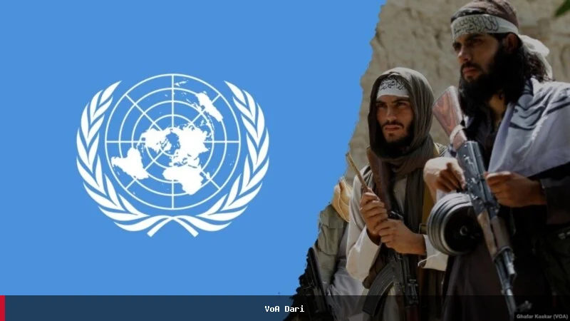د بشر د حقونو څارونکي د طالبانو نه غوښتنه کوي چې د ملګرو ملتونو او غیردولتي ادارو کارمندان آزاد کړي
